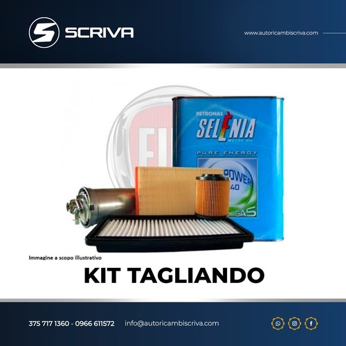 Kit tagliando selenia gas - 4,