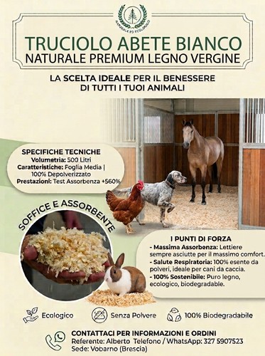 Trucioli truciolo lettiera