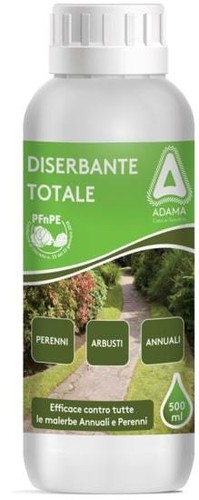 Adama gliphogan top 500 - top,