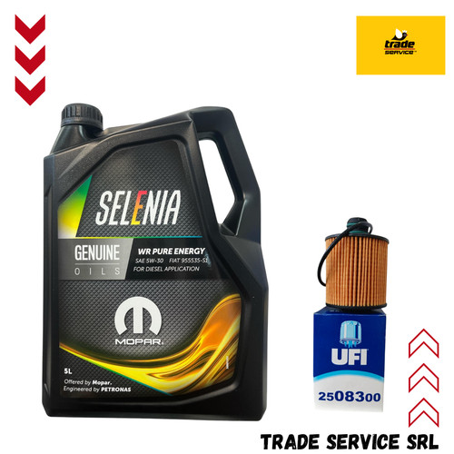 Olio petronas selenia wr - olio,